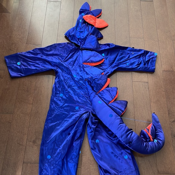 Dinosaur Costume - Picture 6 of 10